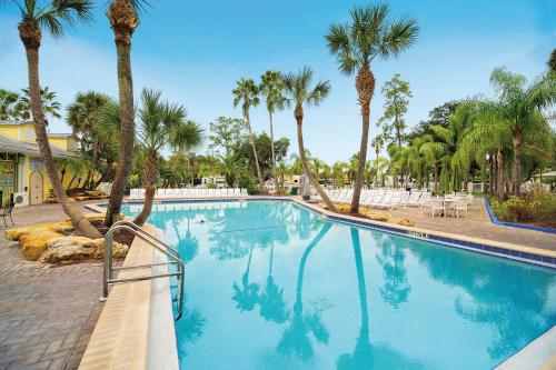 a swimming pool with palm trees in a resort at Tropical Palms Resort in Orlando