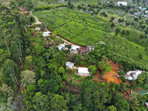 uma vista aérea de uma casa numa floresta em White Monkey Dias Rest em Haputale