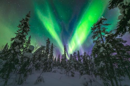 an illustration of the aurora borealis over a snowy forest at Isokelo Log Apartments in Salla