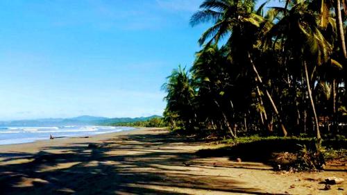 Down by the Sea Beachfront Studio – Photos 3