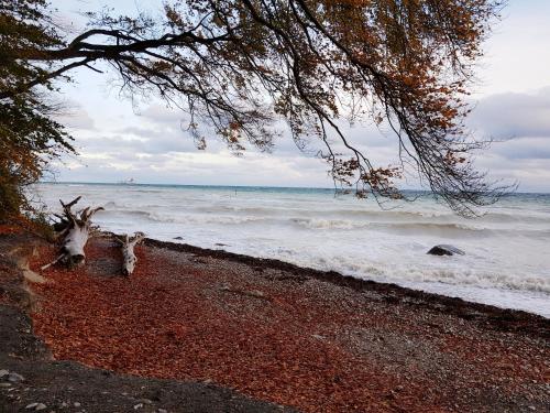 Φυσικό τοπίο κοντά σε αυτό το διαμέρισμα
