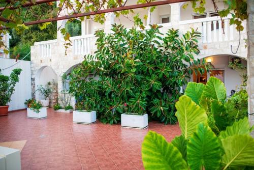 un patio con un montón de plantas en un edificio en Vila Vukotić, en Petrovac na Moru