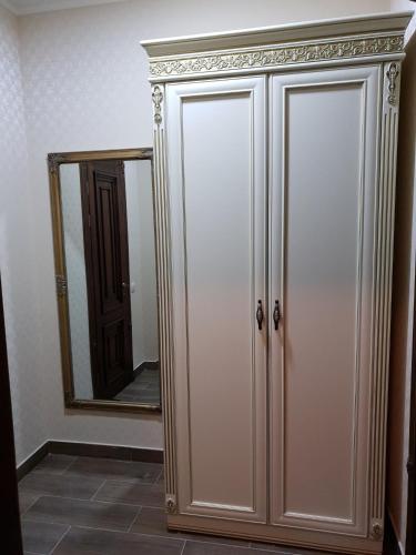 a closet with a mirror in a room at Pride in Tarashcha