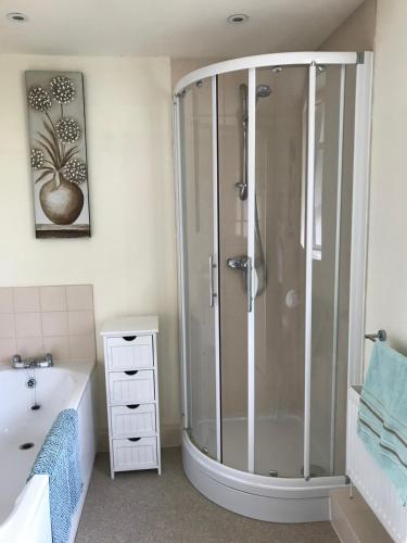 a bathroom with a shower and a bath tub at High Mead in Woodsford