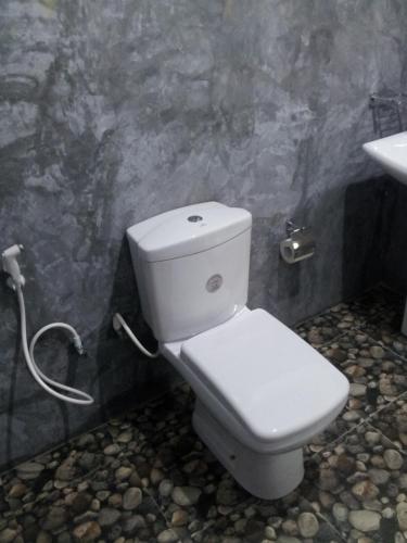 a bathroom with a white toilet and a sink at Ella green stay in Ella