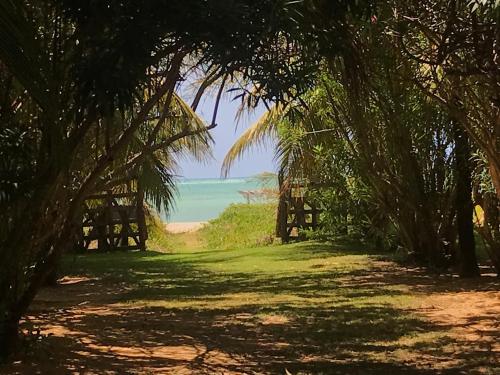 a path leading to the beach through palm trees at Villas Taturé in São Miguel dos Milagres