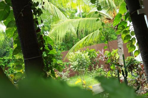 a view of a garden with palm trees and plants at Lobster Inn in Trincomalee