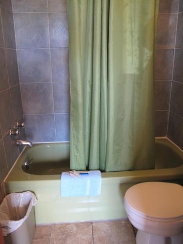a bathroom with a toilet and a green shower curtain at Blue Mountain Motel in Pincher Creek