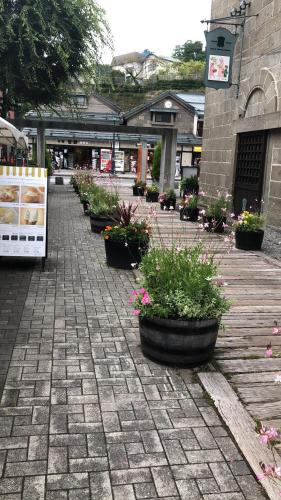 a row of potted plants on a brick sidewalk at Guest House Asahi in Otaru