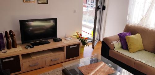 a living room with a television and a couch at Pjerotic Apartment in Budva