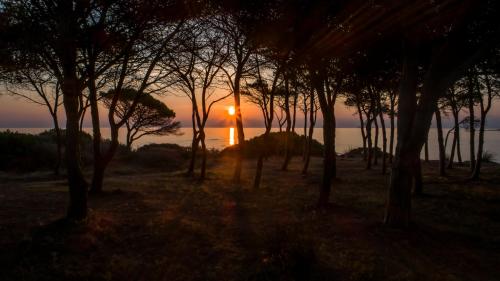 a sunset over the ocean through a group of trees at Sa Prata Hotel & Resort in Budoni