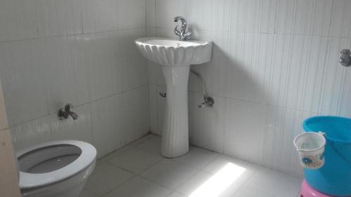 a bathroom with a sink and a toilet at Hayat Hotel Pahalgam in Pahalgām