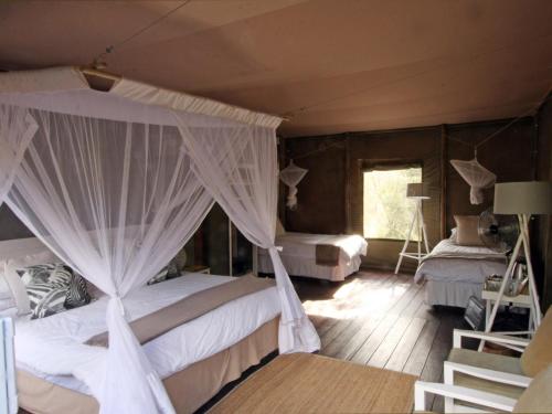 a bedroom with two beds with white drapes at Ngama Tented Safari Lodge in Guernsey Nature Reserve