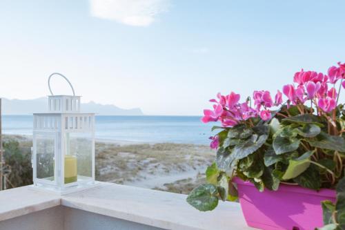 Casa Mimosa – Photos 2