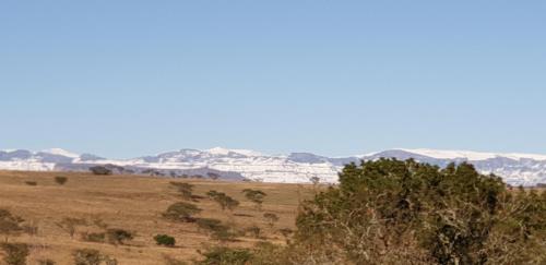 a field with trees and mountains in the background at The Haven: Make our Home your Home in Estcourt