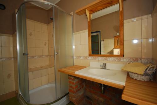 a bathroom with a sink and a shower at Privat Henry in Liptovský Mikuláš