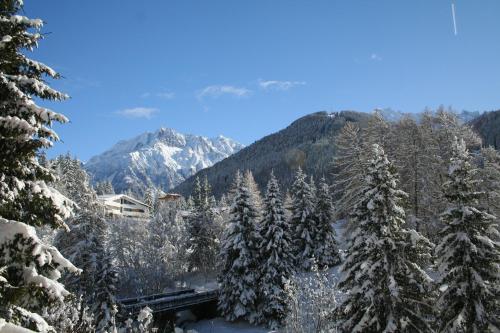 a snow covered forest with mountains in the background at Hotel Mirella in Ponte di Legno