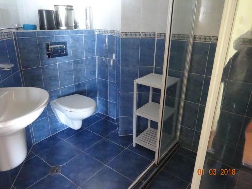 La salle de bains est pourvue de carrelage bleu, de toilettes et d'une douche. dans l'établissement Family Hotel Evridika, à Nessebar