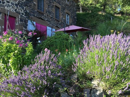 a garden with purple flowers in front of a building at Art et Création in Saint-Bérain