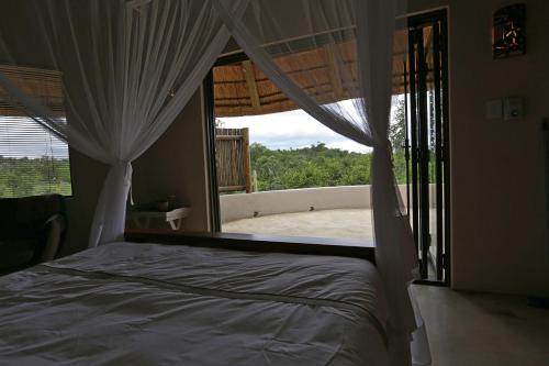 a bedroom with a bed and a view of a beach at Lengau Lodge in Grietjie Nature Reserve
