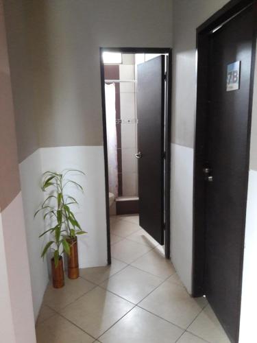 Fotografie z fotogalerie ubytování Hostal Casa Taisha v destinaci Montañita