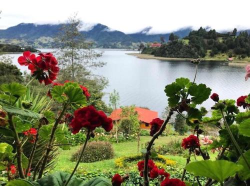 a view of a body of water with red flowers at Hermosa Cabaña en La Cocha-Finca INDIANA in El Encano