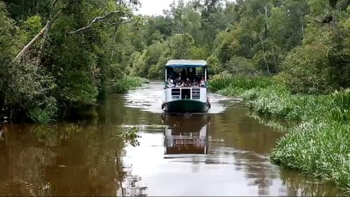 Φωτογραφία από το άλμπουμ του Orang Utan Houseboat 2 σε Kumai