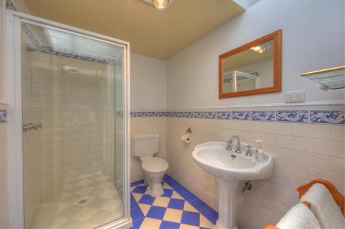 un bagno con doccia, lavandino e WC di Old WesleyDale Heritage Accommodation a Mole Creek