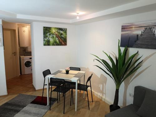 Innsbruck Old Town Apartment