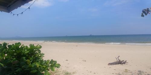 a tree branch laying on a beach near the ocean at Khao Tao Beach Lodge Old Siam in Hua Hin