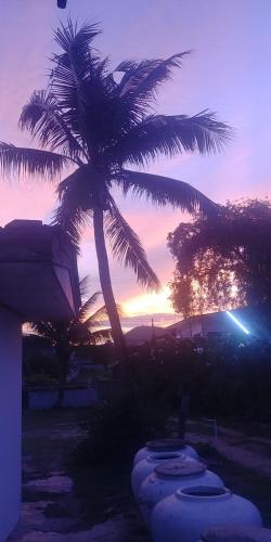 a group of palm trees in front of a sunset at Khao Tao Beach Lodge Old Siam in Hua Hin