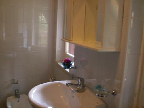 Un baño de Albergo Caprile