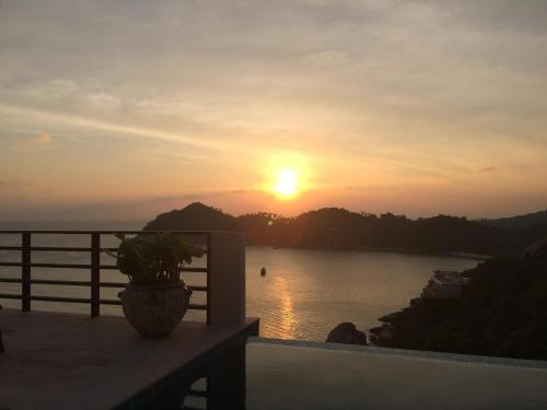 a sunset from a balcony with a potted plant at Villas Sabai Jai in Koh Tao