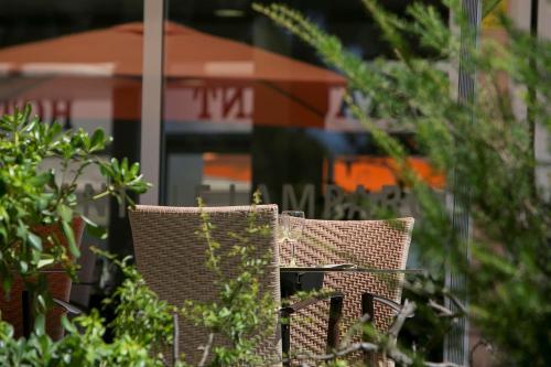 two wicker chairs sitting next to some plants at Best Western Hôtel des Thermes - Balaruc les Bains Sète in Balaruc-les-Bains