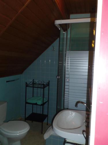 a bathroom with a tub and a toilet and a sink at Hotel Restaurant Du Kalblin in Fréland