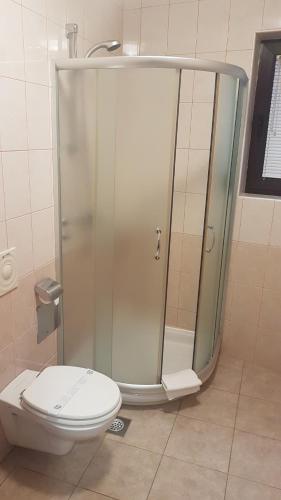 a bathroom with a shower and a toilet in it at Bed & Breakfast Zeleni Kut in Gornji Zvečaj