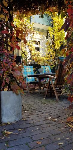 Κήπος έξω από το Ferienwohnungen Am Weserdeich