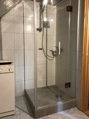 a shower with a glass door in a bathroom at "Будиночок гедоніста" in Tukhlya