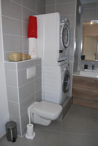 La salle de bains est pourvue de toilettes et d'un lave-linge. dans l'établissement LE DOMAINE DU PATRE, à Vaujany