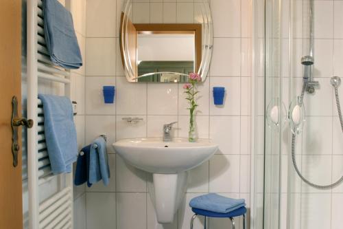 a bathroom with a sink and a mirror and a shower at Weingut Herbert Kram in Nordheim
