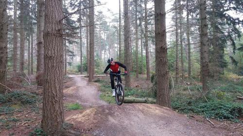 a person riding a bike on a dirt trail in the woods at Sissinghurst Stables in Cranbrook