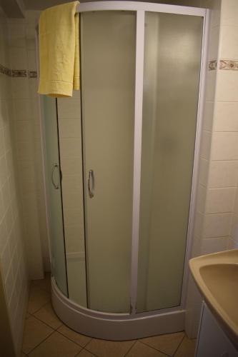 W łazience znajduje się prysznic ze szklanymi drzwiami. w obiekcie Penzion Ve starém krámě 147 w mieście Srbská Kamenice