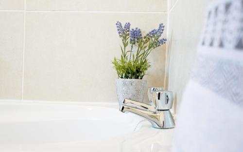 a bathroom sink with a vase of purple flowers at W8 Village in Manorhamilton