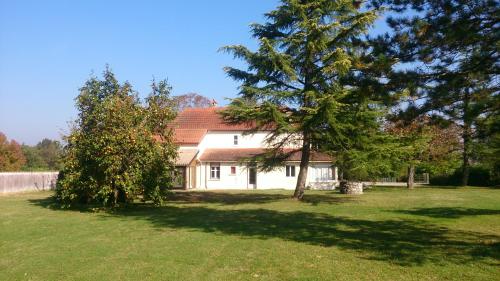 a white house in a yard with trees at Le Pontet in Miramont-de-Guyenne