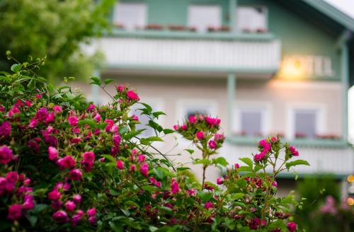 Κήπος έξω από το Gartenhotel Salzach