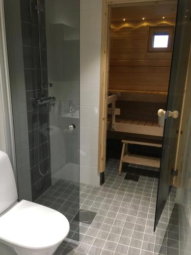 a bathroom with a shower and a toilet and a tub at Siljo Apartments in Rovaniemi