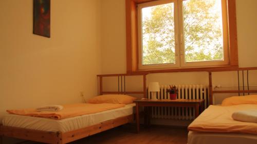Gallery image of Holiday Park Vrchlabí - Liščí farma in Vrchlabí