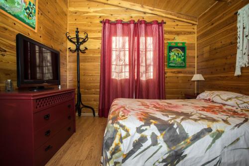 um quarto com uma cama e uma televisão de ecrã plano em Cabaña de campo em Agost