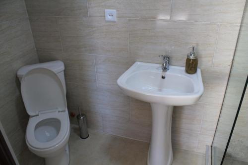 Bilik mandi di Hotel NOA Kazbegi