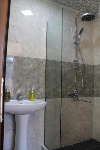 Bilik mandi di Hotel NOA Kazbegi